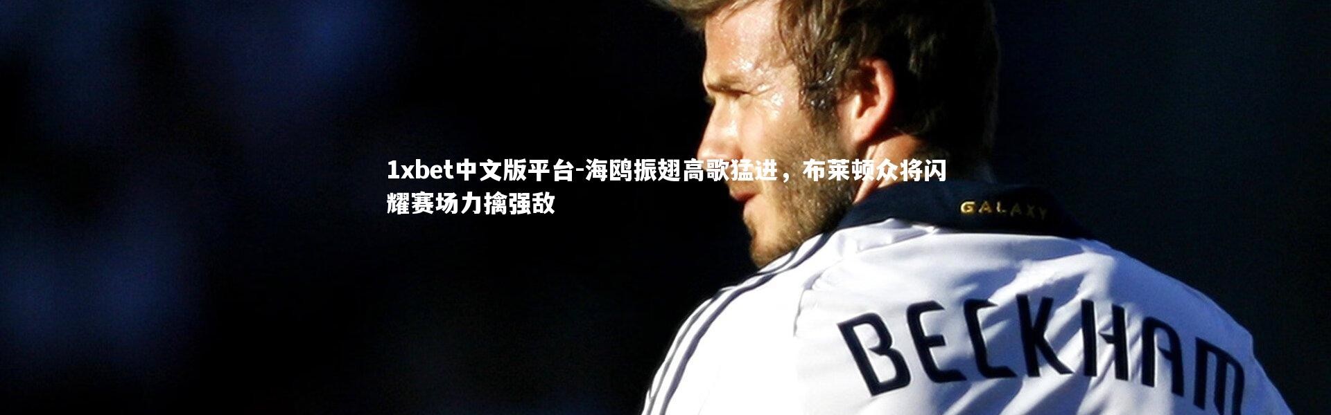1xbet中文版平台-海鸥振翅高歌猛进，布莱顿众将闪耀赛场力擒强敌