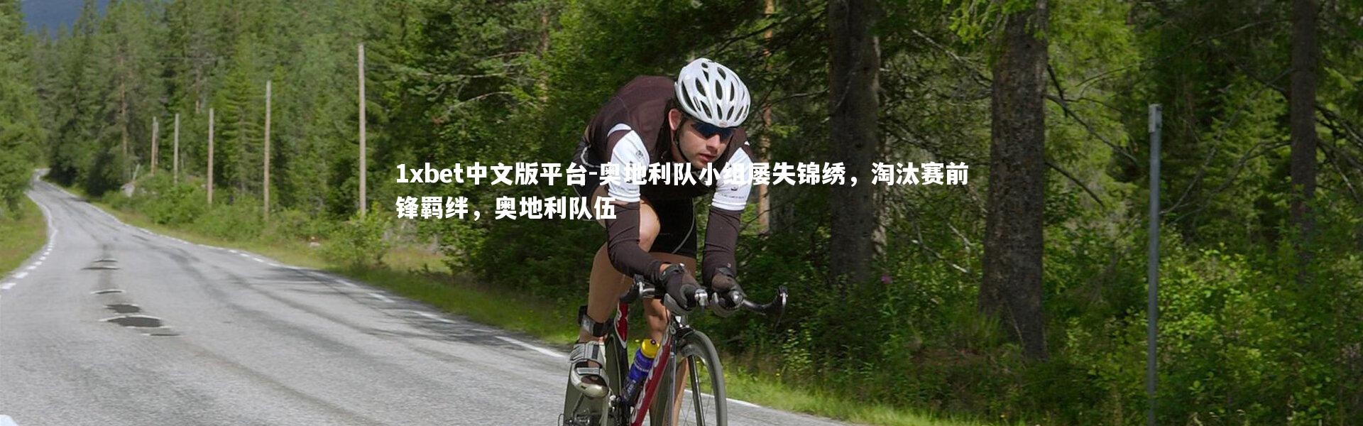 1xbet中文版平台-奥地利队小组屡失锦绣，淘汰赛前锋羁绊，奥地利队伍