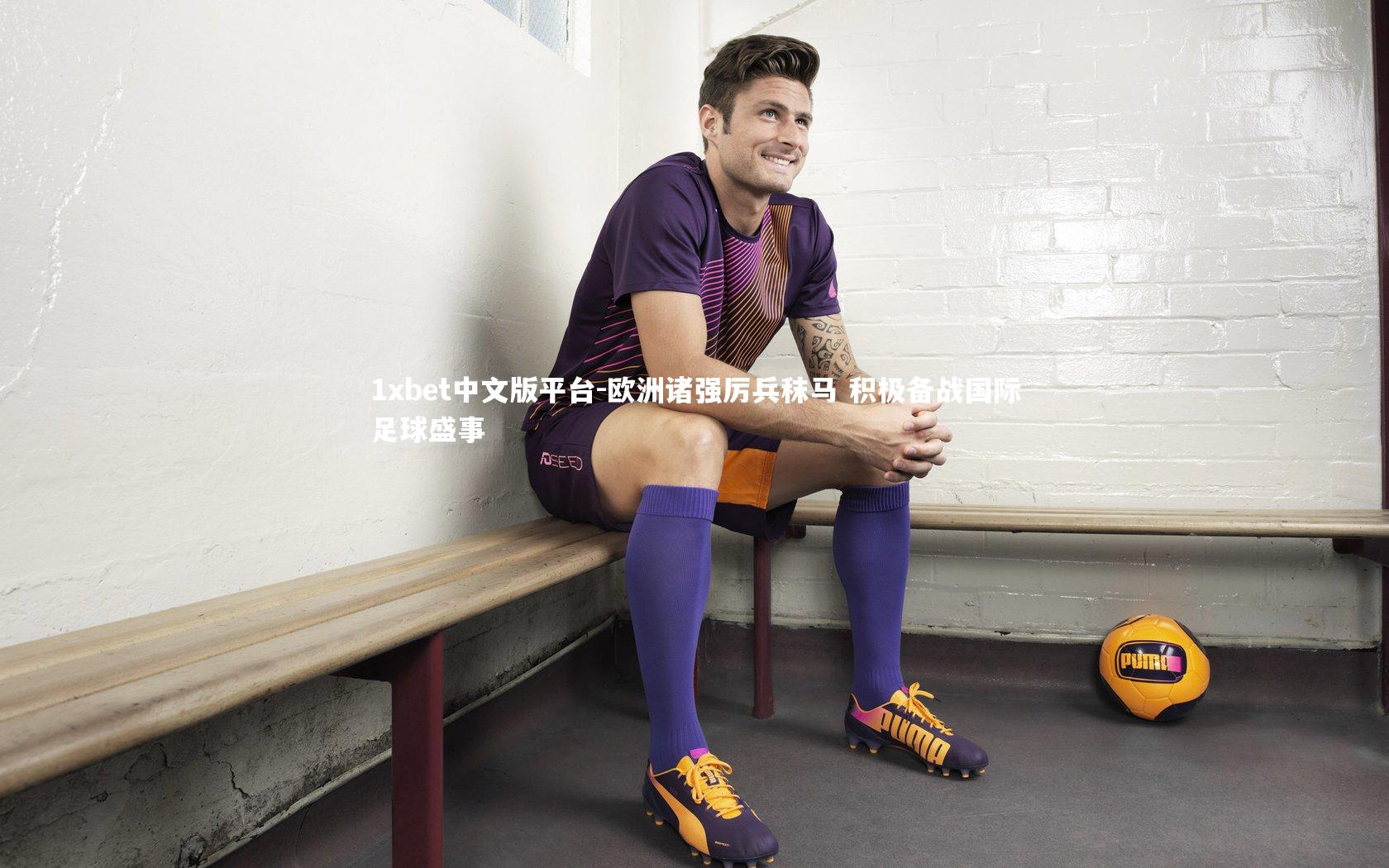 欧洲诸强厉兵秣马 积极备战国际足球盛事